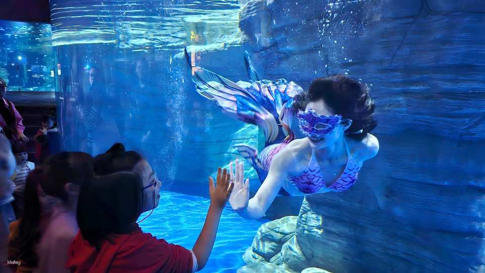 [SPECIAL PROMOTION] Lotte World Aquarium | Hanoi