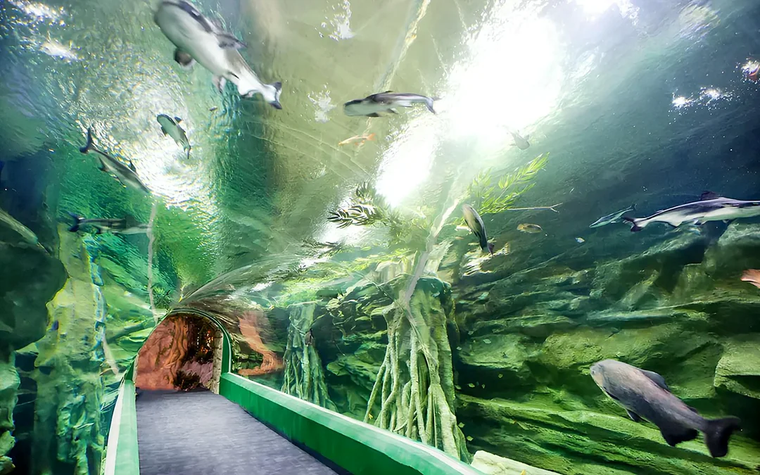 Lotte World Aquarium Tickets Image 3