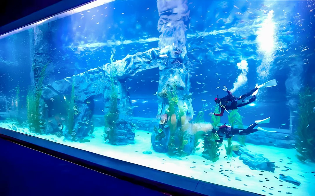 Lotte World Aquarium Tickets Image 5