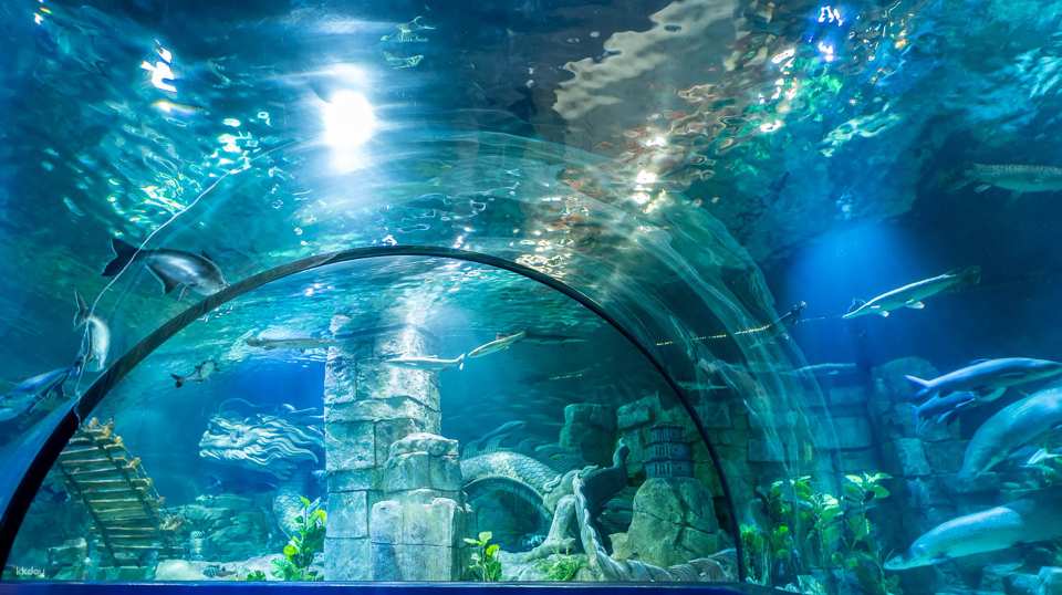 Hanoi, Vietnam | Lotte World Aquarium | Weekday/Holiday Tickets