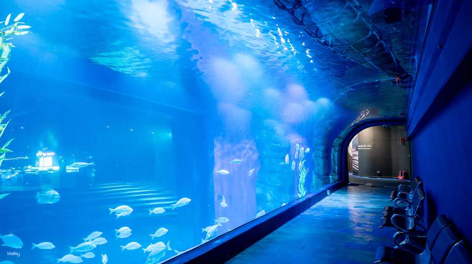 Hanoi, Vietnam | Lotte World Aquarium | Weekday/Holiday Tickets