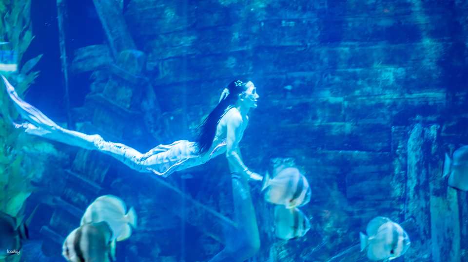 Hanoi, Vietnam | Lotte World Aquarium | Weekday/Holiday Tickets