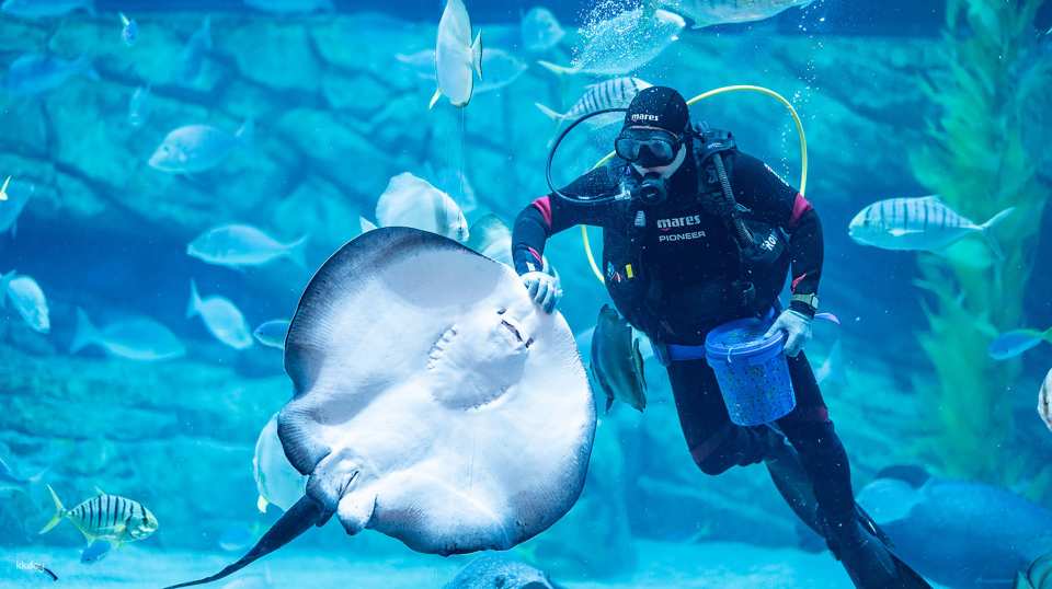 Hanoi, Vietnam | Lotte World Aquarium | Weekday/Holiday Tickets
