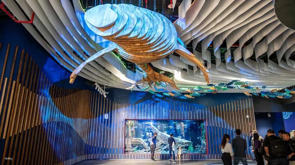 Hanoi, Vietnam | Lotte World Aquarium | Weekday/Holiday Tickets