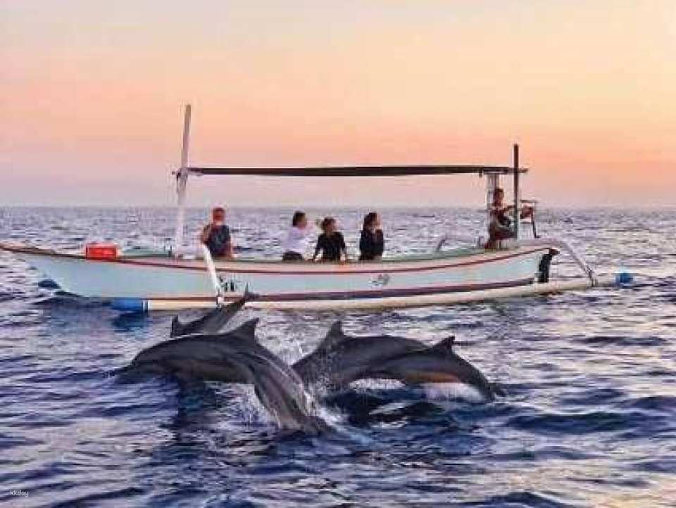 Lovina Dolphin Watching & Ocean Discovery | Bali