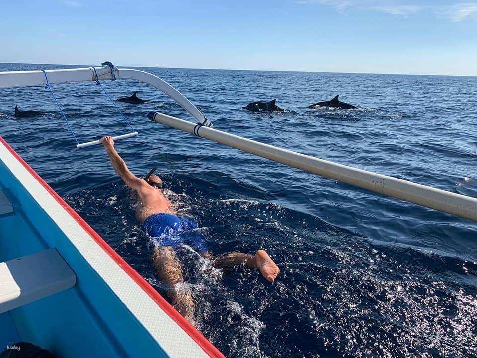 Lovina Dolphin Watching & Ocean Discovery | Bali