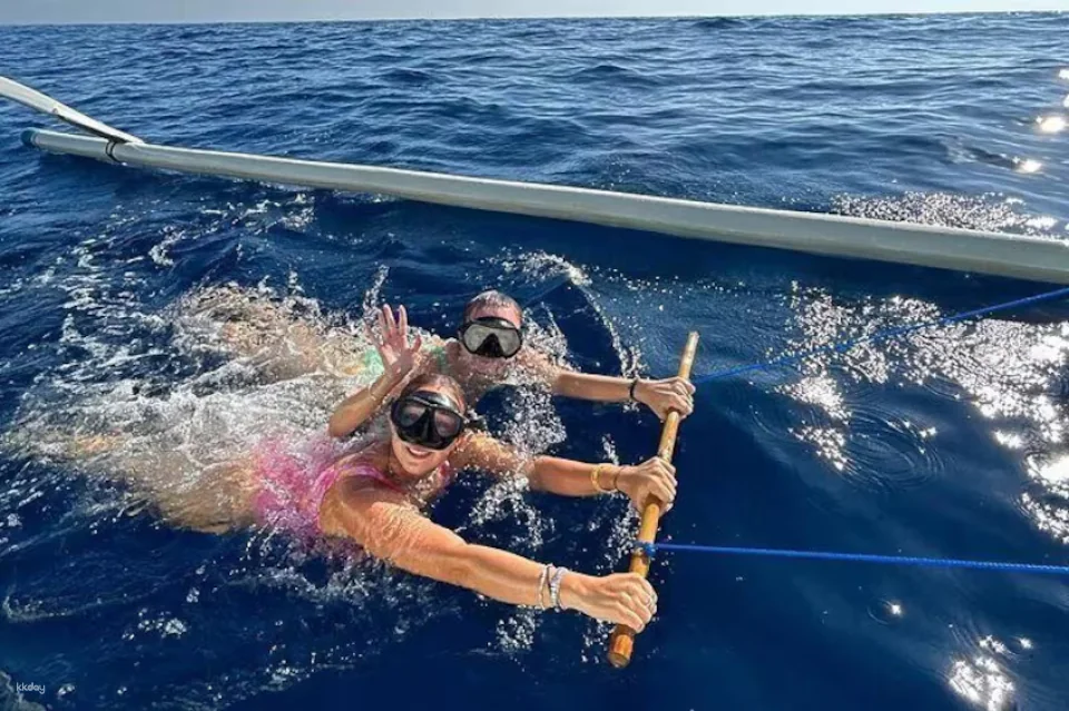 Lovina Dolphin Watching & Ocean Discovery | Bali