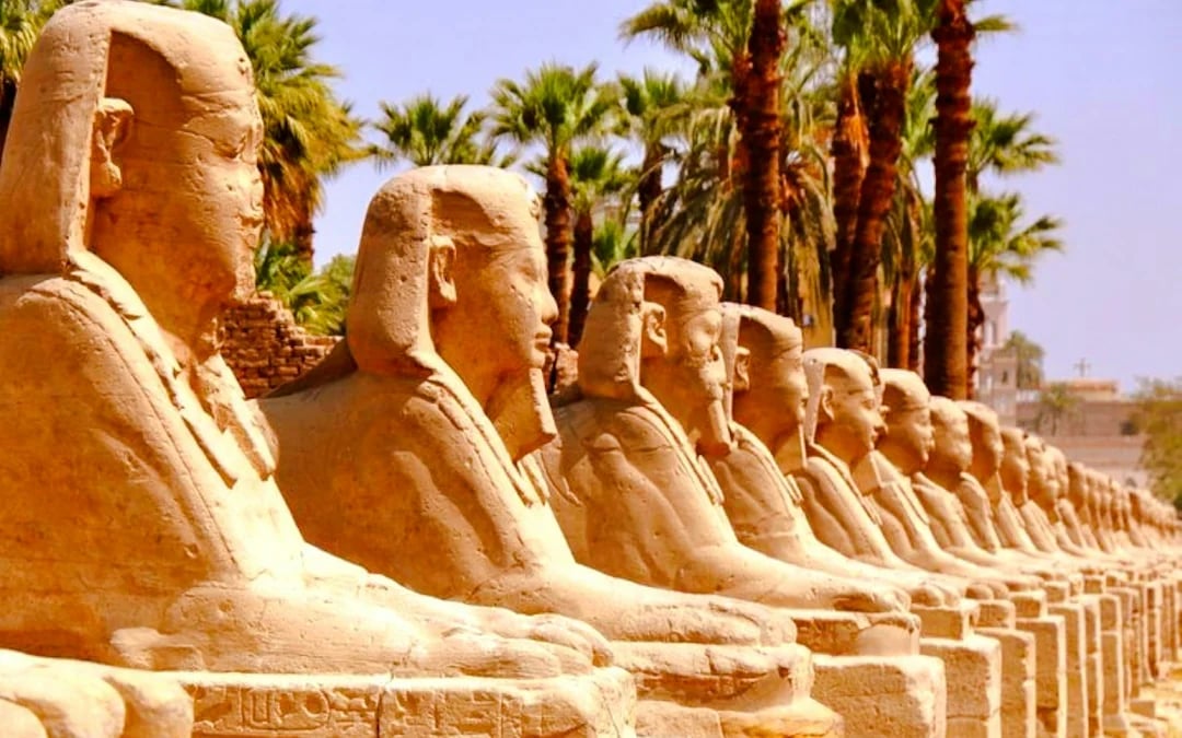 Luxor East Bank Guided Tour of Karnak and Luxor Temples Image 6