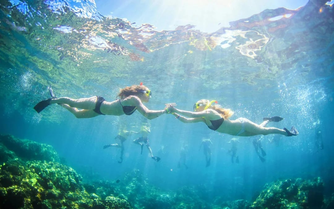 Luxury West Maui Snorkel Sail with Open Bar and BBQ Lunch Image 9