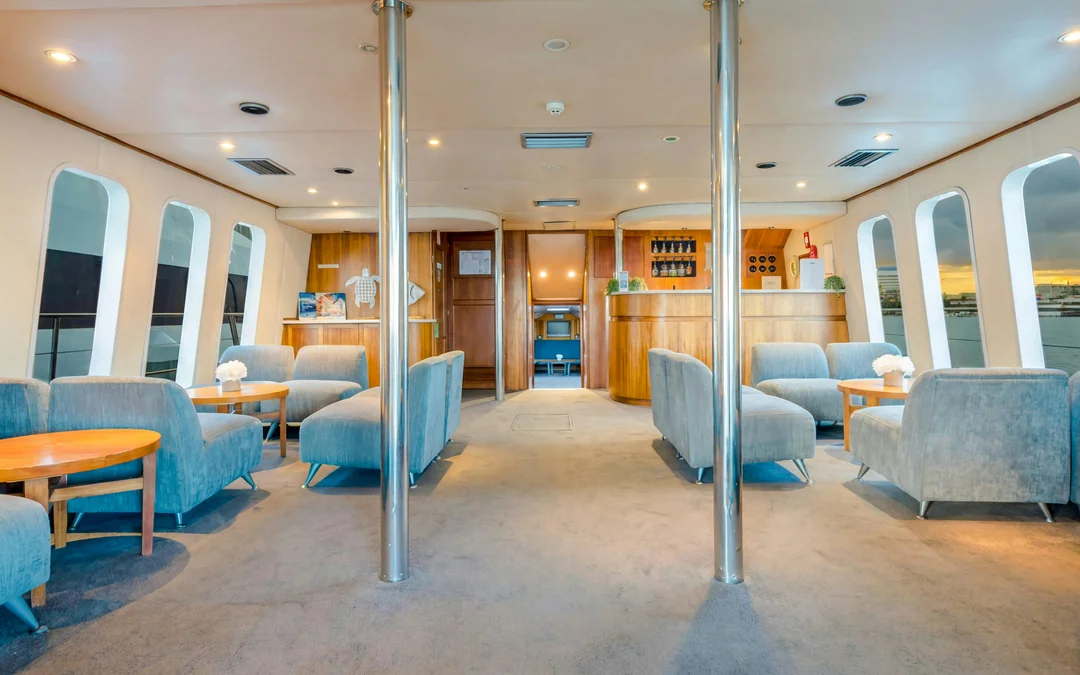 Luxury Yacht Whale Watching Tour With Marine Biologist Image 4