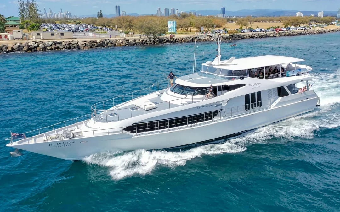 Luxury Yacht Whale Watching Tour With Marine Biologist Image 6