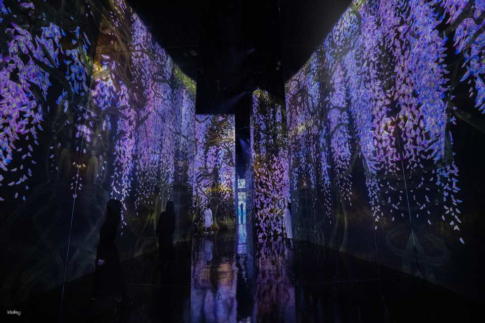 Macau teamLab SuperNature Ticket | FREE AIRSIM/eSim