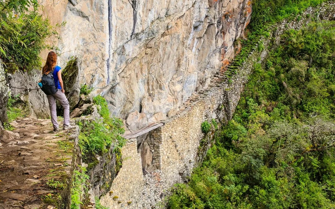 Machu Picchu Circuit 1-Panoramic Tickets Image 8