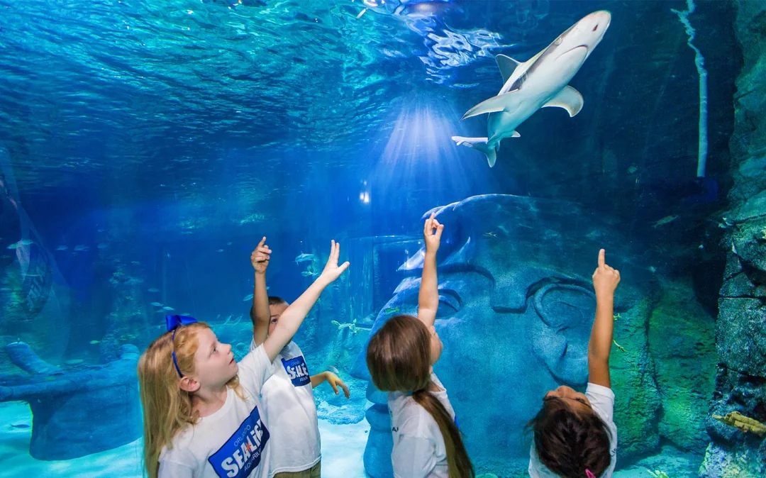 Madame Tussauds & SEA LIFE Orlando: Combo Ticket Image 2