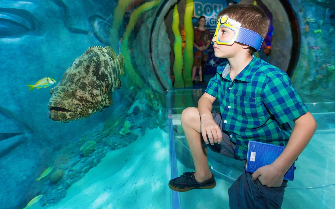 Madame Tussauds & SEA LIFE Orlando: Combo Ticket Image 5