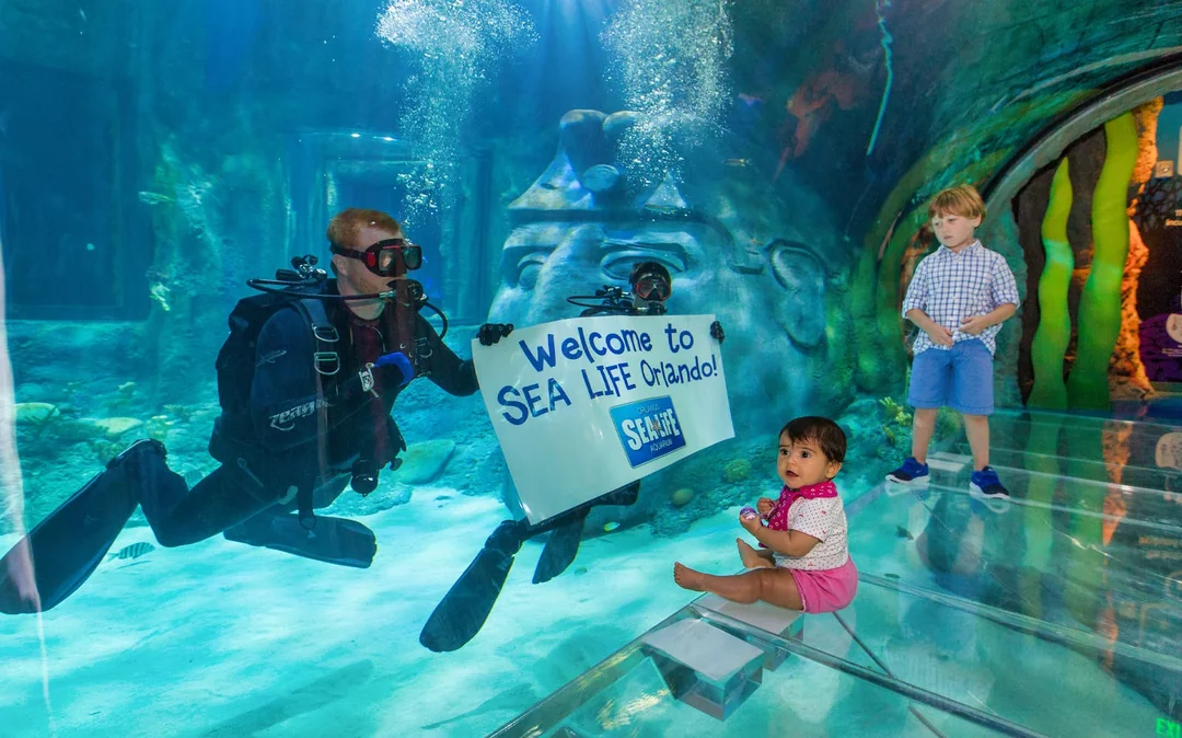 Madame Tussauds & SEA LIFE Orlando: Combo Ticket Image 7