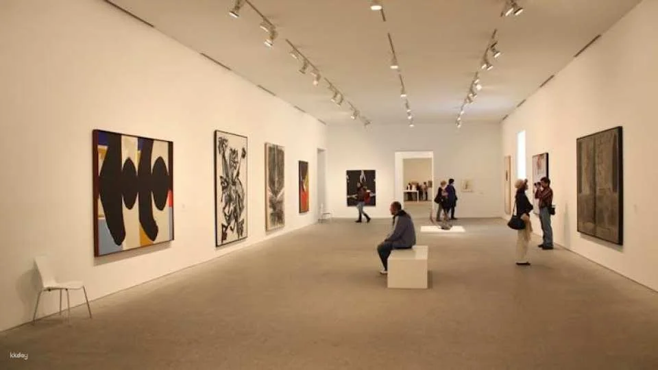 Madrid Reina Sofía Museum Tickets and In-App Audio Tour