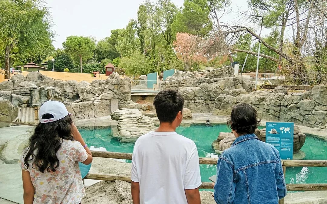 Madrid Zoo Aquarium Entry Tickets Image 6