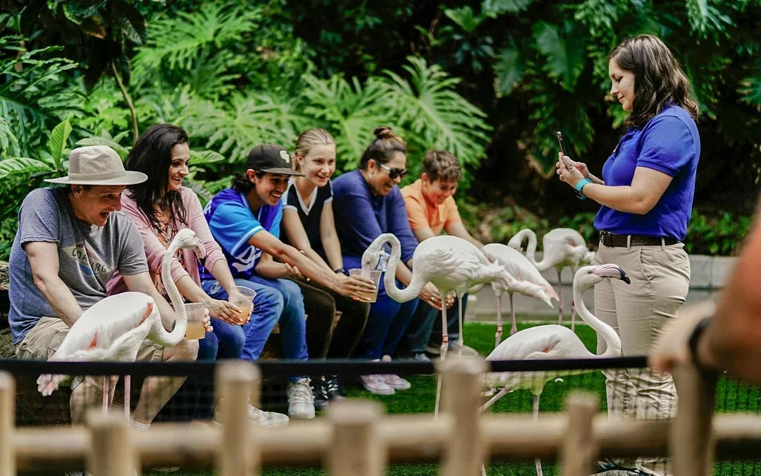 Madrid Zoo Aquarium Entry Tickets Image 8