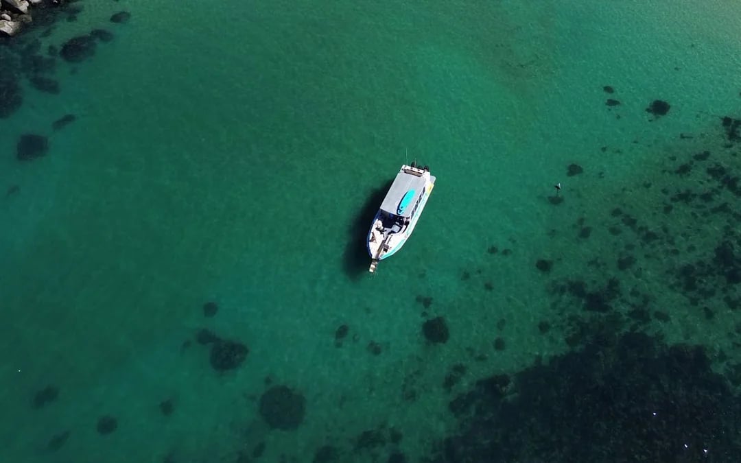 Magnetic Island Adventurer Tour Image 8
