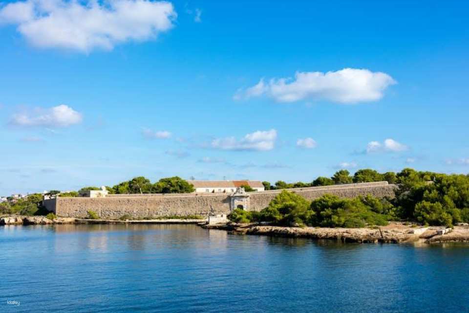 Mahon Harbour Yellow Catamarans cruise with underwater views