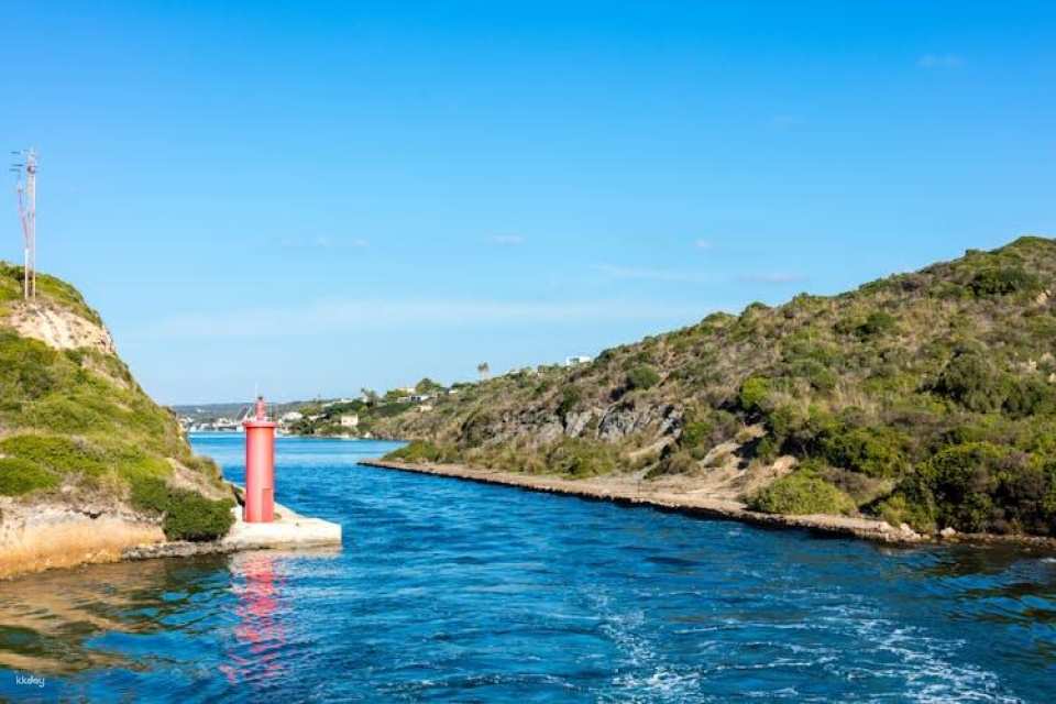 Mahon Harbour Yellow Catamarans cruise with underwater views