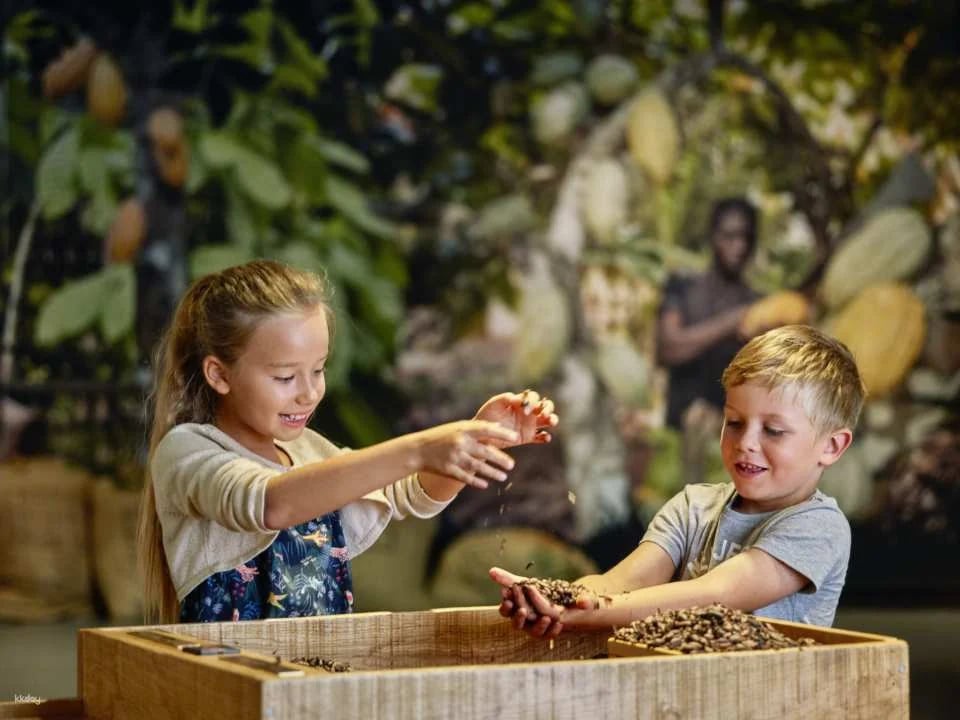 Maison Cailler Chocolate Factory Ticket