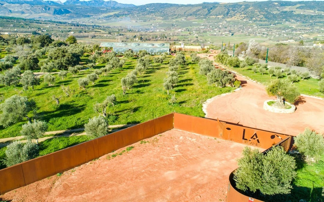 Malaga Olive Oil Museum & Farm Guided Tour with Organic Tasting Image 4