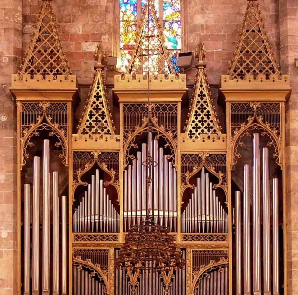 Mallorca Cathedral Ticket | Spain