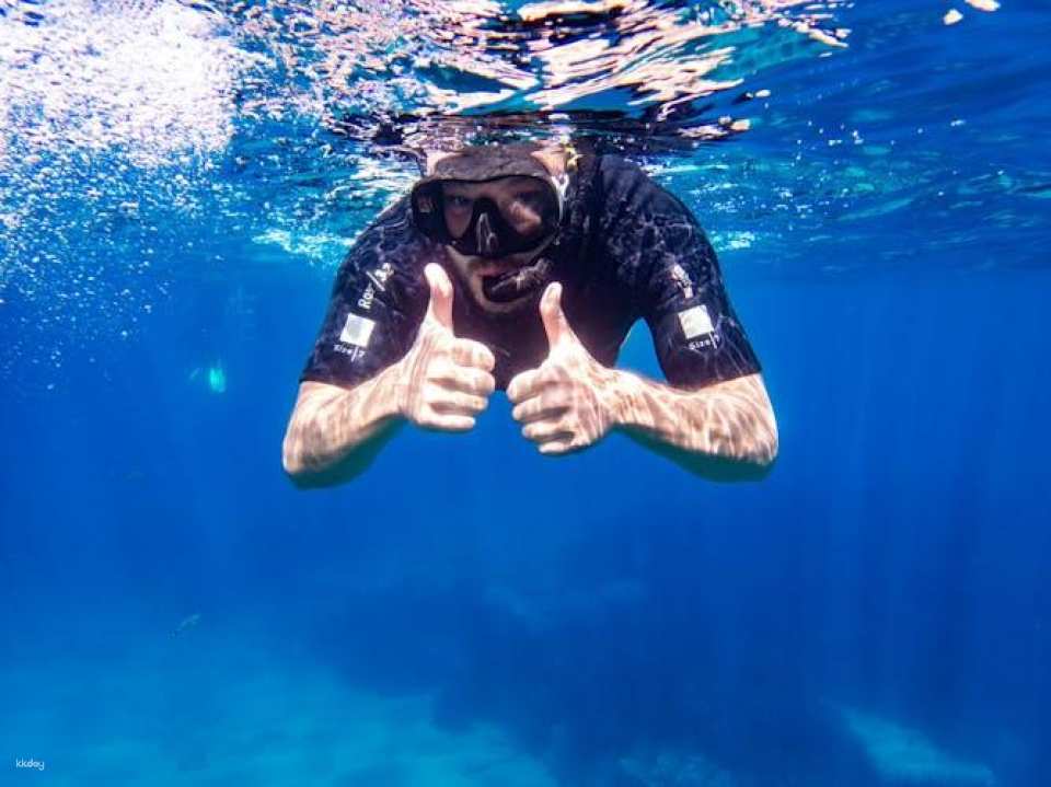 Mallorca dip and dive snorkelling and diving experience