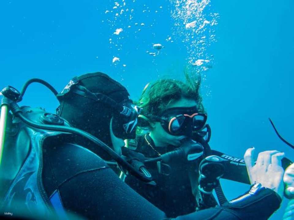 Mallorca dip and dive snorkelling and diving experience