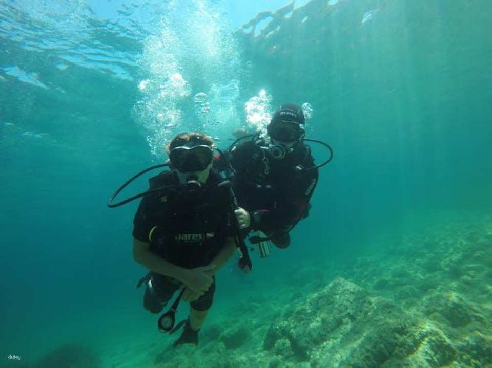 Mallorca dip and dive snorkelling and diving experience