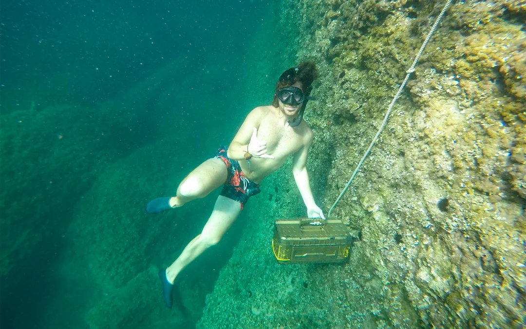Mallorca Outdoor Activity: Snorkel, Kayak, Sea Cave, Cliff Jumping Image 5