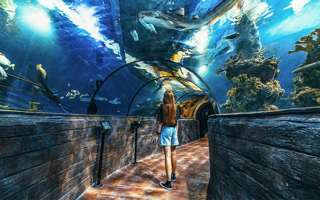 Malta National Aquarium Skip-the-Line Tickets Image 2