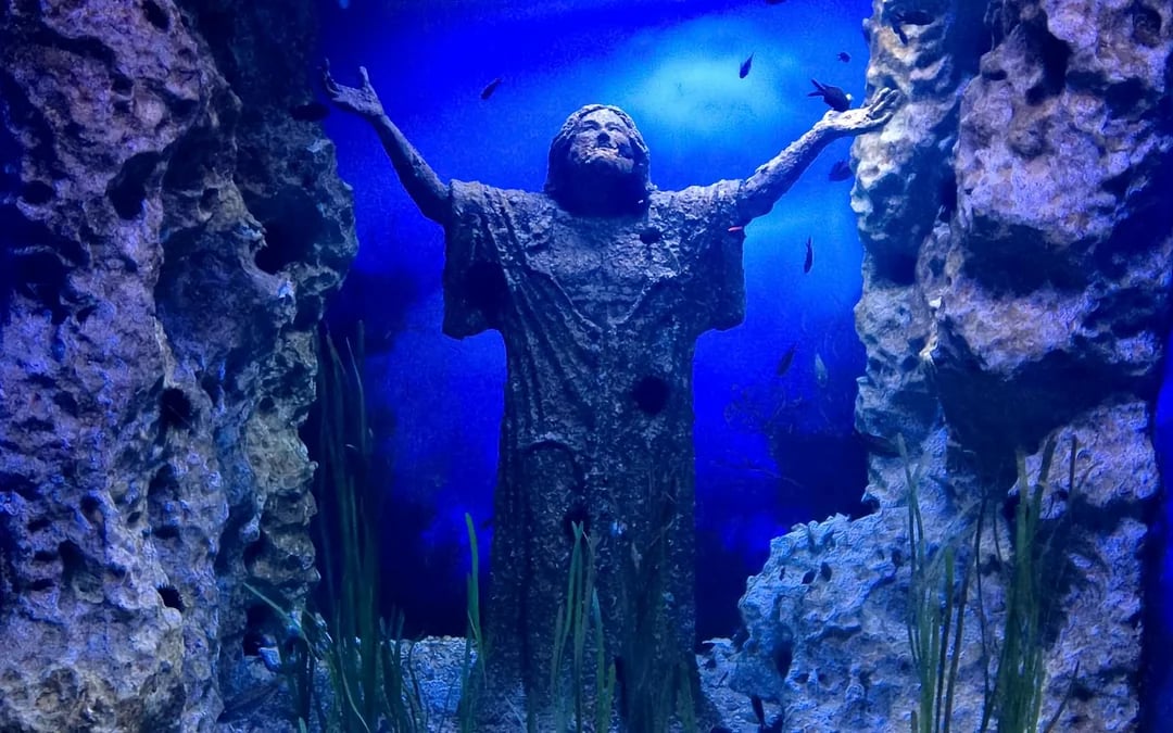 Malta National Aquarium Skip-the-Line Tickets Image 3