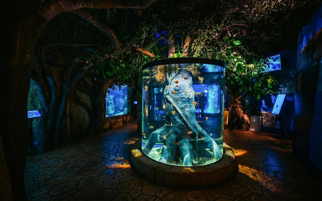 Malta National Aquarium Skip-the-Line Tickets Image 5