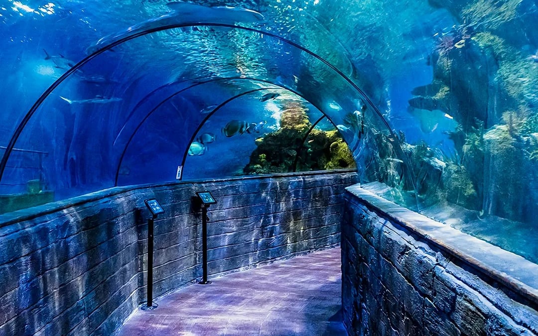 Malta National Aquarium Skip-the-Line Tickets Image 6