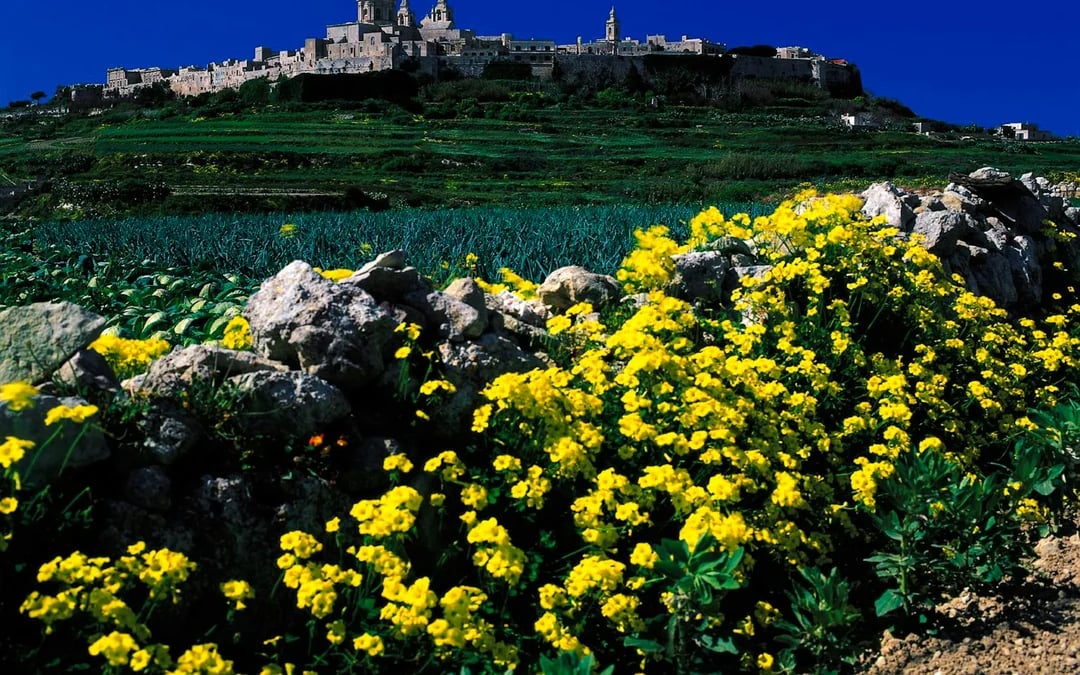 Malta Private Tour with Licensed Guide and Transport Image 1