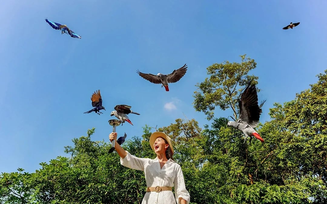 Mandai Wildlife Destination Pass Image 3