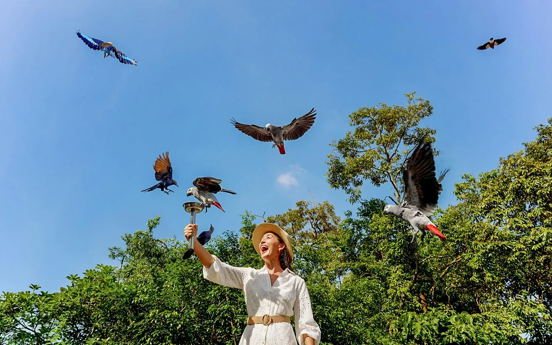 Mandai Wildlife Destination Pass Image 3