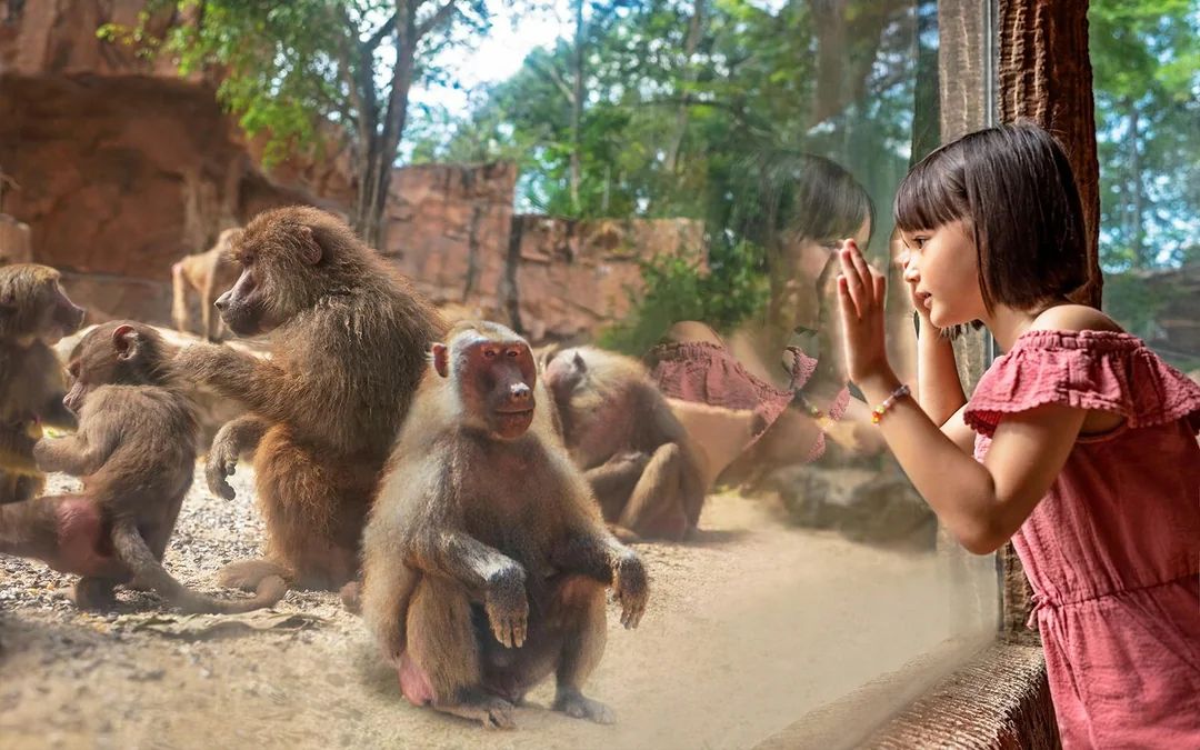 Mandai Wildlife Destination Pass Image 5