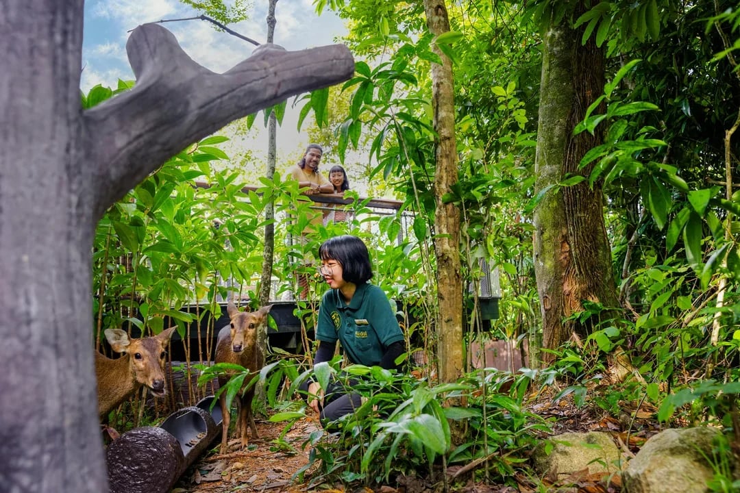 Mandai Wildlife Destination Pass Image 9