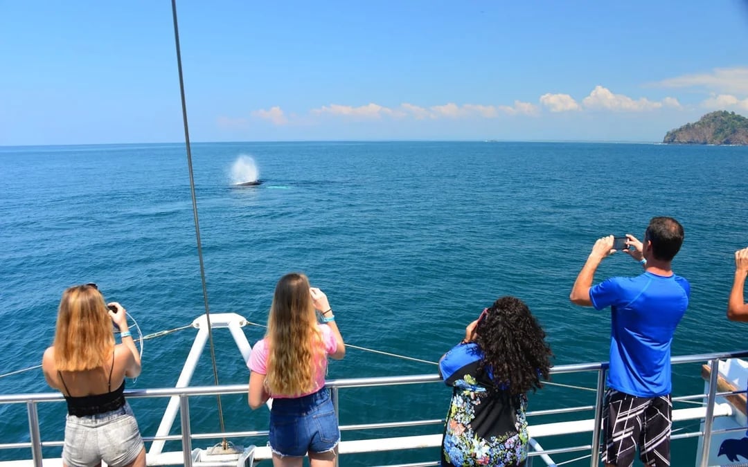 Manuel Antonio Catamaran Cruise with Snorkeling at Biesanz Bay and Onboard Barbecue Lunch Image 9