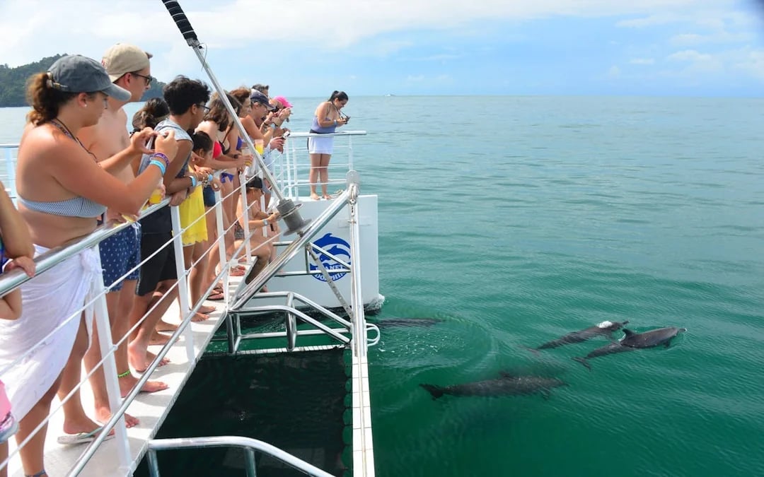 Manuel Antonio Catamaran Cruise with Snorkeling at Biesanz Bay and Onboard Barbecue Lunch Image 10