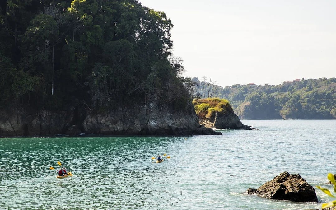 Manuel Antonio Ocean Kayaking and Snorkeling Tour with Hotel Transfers, Lunch or Dinner, and Bilingual Guide Image 2