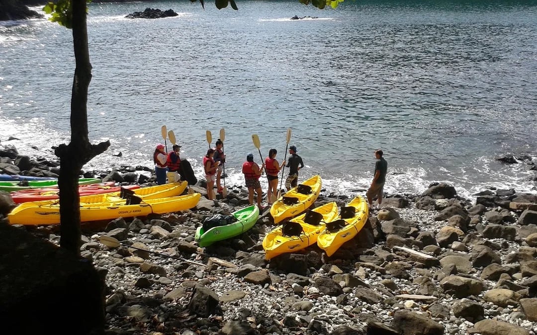 Manuel Antonio Ocean Kayaking and Snorkeling Tour with Hotel Transfers, Lunch or Dinner, and Bilingual Guide Image 5