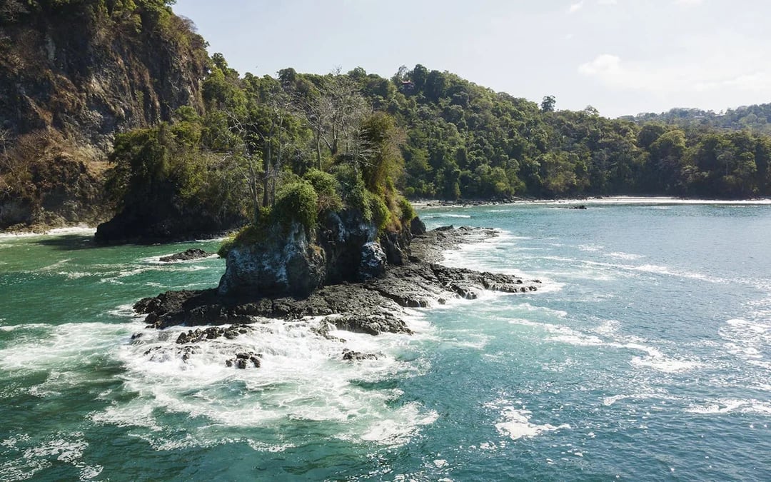 Manuel Antonio Ocean Kayaking and Snorkeling Tour with Hotel Transfers, Lunch or Dinner, and Bilingual Guide Image 7