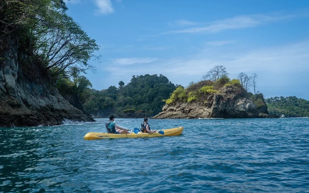 Manuel Antonio Ocean Kayaking and Snorkeling Tour with Hotel Transfers, Lunch or Dinner, and Bilingual Guide Image 8
