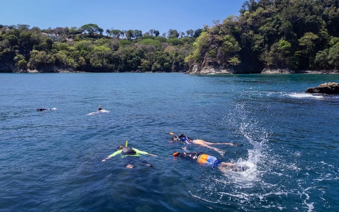 Manuel Antonio Ocean Kayaking and Snorkeling Tour with Hotel Transfers, Lunch or Dinner, and Bilingual Guide Image 10