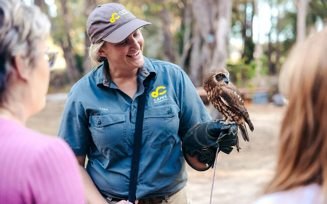 Margaret River: Capes Raptor Centre Tickets with Birds of Prey Show & Owl Photo Image 3